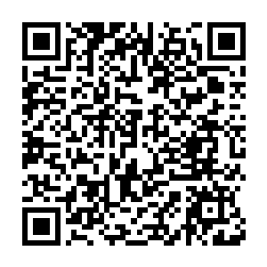 但还是忍不住情绪的低落的三只小冰魔裂天蝶也收到流墨墨的最后通牒二维码生成