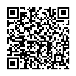 但还是看到了天剑周围竟发出了狂澜一样的吸收力二维码生成