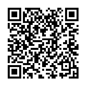 但还没有成为一个无所不用其极的政客或是阴谋家二维码生成