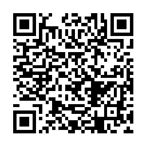 但还没有让他无力动弹的地步……感觉到小貂的威胁二维码生成