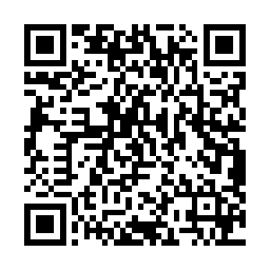 但还要经过学校方面和学生家长理事会的通过才可以实行二维码生成
