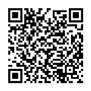 但还请看在老哥是为了找回祖师法器的一份痴心下二维码生成