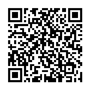 但这一局下来他却看不到丁点团队配合和亮眼的地方二维码生成