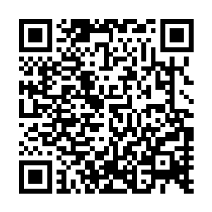 但这一愣并不是因为听到了她从来没有听到过的话让她愣神二维码生成