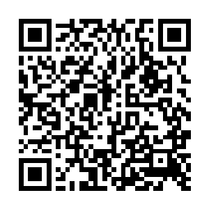 但这一番安排碰到李英杰这个嚣张任性不听话的二世祖二维码生成