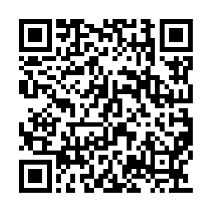 但这两座乾坤本身在世界树上就有对应的世界果二维码生成