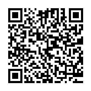 但这个势力全部都是他们的团长剑尘以及兽族三大强者撑起来的二维码生成