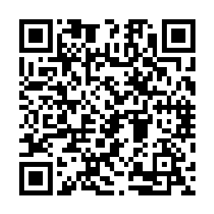 但这个过程中也确实出现了许多他们无法掌控的意外因素二维码生成