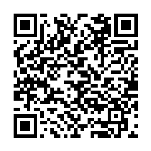 但这也仅仅只限于陈诚提出修改合约期限之前而已二维码生成