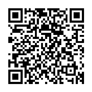 但这些图纸连隐藏在楼层之间的通风管道和下水管道都一条不漏二维码生成