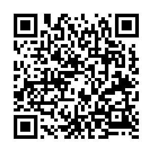 但这些大帝却都是神界诞生的……相对神界的浩淼来说二维码生成
