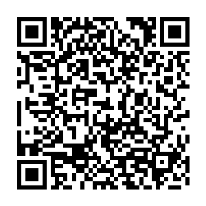 但这些已经枯黄的植物却冲淡了城市钢筋混凝土拼凑起来的压抑和沉重二维码生成