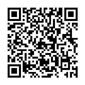 但这些年长公主见过的闺秀若说没人比得过阿九的二维码生成