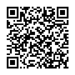 但这些朝着灯光岸上而去的小艇全都是手动划桨二维码生成