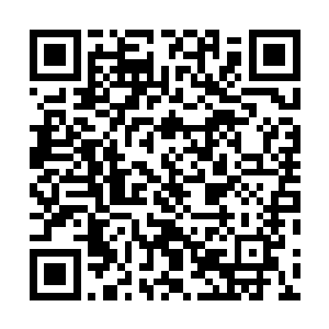 但这些污水也不知道混合了多少种天材地宝的残渣和废液二维码生成