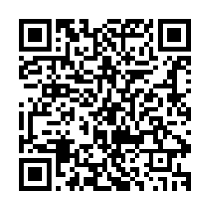 但这些生命体却可以通过通过自爆来释放出堪比三阶的破坏力二维码生成