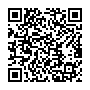 但这些要出土的宝物和宝库都是有属于自己的命运和机缘的二维码生成