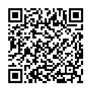 但这些高手似乎都将云顶仙宫当成是一个平台了二维码生成