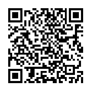 但这件事情无疑是将整个百宝阁的平衡给打破了二维码生成