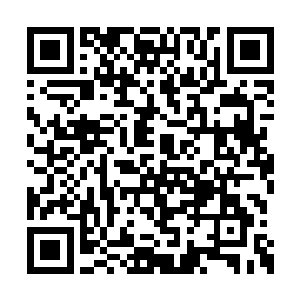 但这冰凉的内室之中摆放了七七四十九颗夜明珠二维码生成