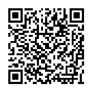 但这十几人无论是形态身姿都跟玉如梦一模一样二维码生成