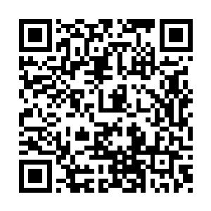 但这半年连续苦战中收敛不少身暗面圣人的傲气二维码生成