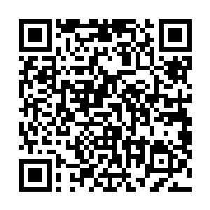 但这墨蝰蛇的品相成长却属于典型的相生相克自然法则类二维码生成