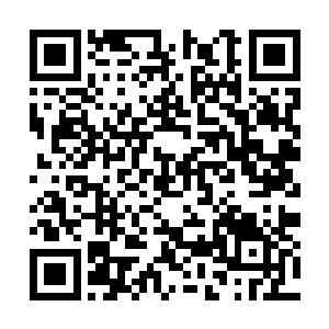 但这好歹也是个硬物……这一下若是砸在人的头上二维码生成