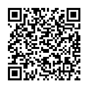 但这对于习惯在街头简陋设备情况之下演出的荣耀至死来说二维码生成