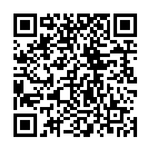 但这就好像一头狮子跟一只鹿说它不随便杀戮是一样的效果二维码生成