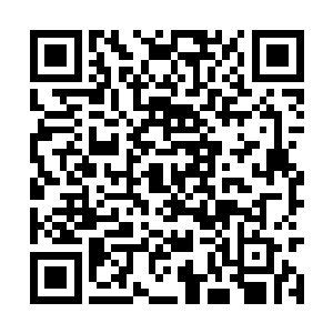 但这并不意味着他就真的不忌惮这五行齐聚之力了二维码生成