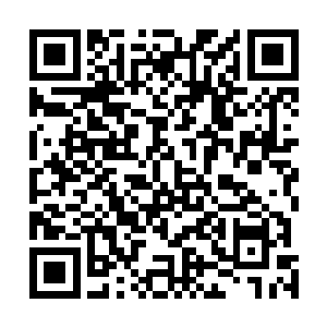 但这时也已经意会过来眼前这位年轻的夏老师不是普通人二维码生成