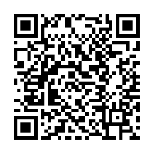 但这时候却感到有点儿被这气氛带动的紧张起来了二维码生成