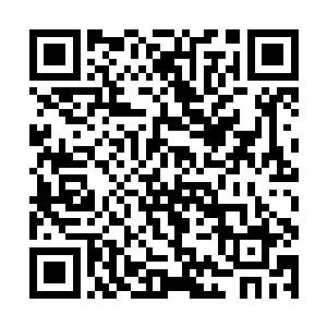 但这是指在没有一个强有力的牵头入物出现的情况下二维码生成