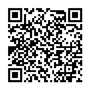 但这样未经雕琢呈现出来的效果反倒非常呆萌有趣二维码生成