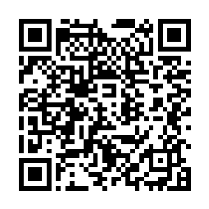 但这样的拍卖方式也是杜家拍卖行惯用的推卸责任之法二维码生成