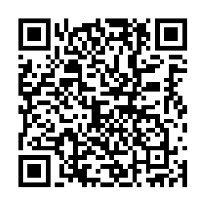 但这样的高回报却是用一条条的人命所堆积起来的二维码生成