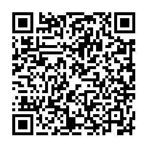 但这样食物放到在现代的时候……她真的只会糊端给她这个的白兰一脸的二维码生成