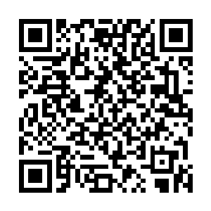 但这次分明就是一个出场不过二十分钟就领了便当的客串二维码生成