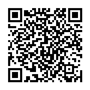但这次常委会主要讨论的是马加山负责的海阳不冻港的问题二维码生成