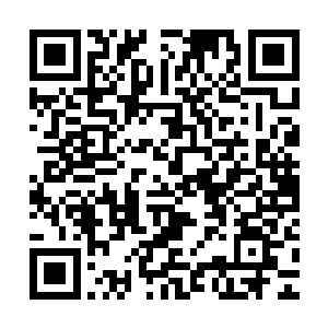 但这次您一个人立抗那么多高手的事情也是让所有人都知道了啊二维码生成