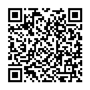 但这每一个虚影都包含了足以令人致命的恐怖力量二维码生成