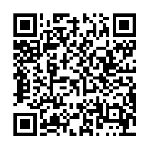 但这种封印和麻王神社里的那个原始封印相差甚远……二维码生成