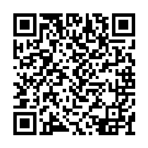 但这种巫师在整个中部大陆的历史上都没出几个二维码生成