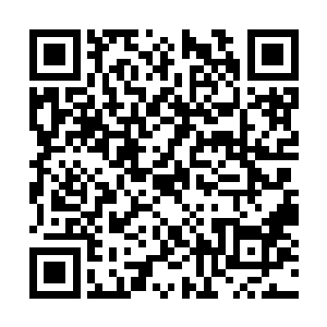 但这种灵魂都在颤抖的激昂和亢奋却真的是久违了二维码生成