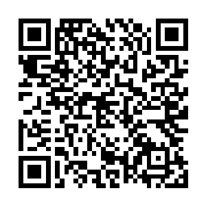 但这种高额的真气消耗最多只能支撑他用十次左右的此招式二维码生成