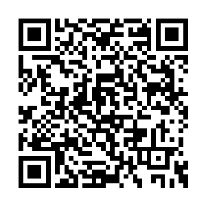 但这秘密人类已经研究了十万年都没能彻底觉悟二维码生成