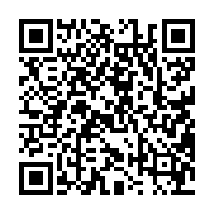 但这股力量也足够对付她一个刚刚晋级的化神境修士了二维码生成