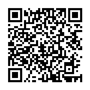 但这血牛凶兽的体型却整整比上次出现的血牛凶兽大了数倍二维码生成