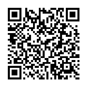 但这里几乎有一半以上的人是可以和夏天真正比划比划的二维码生成